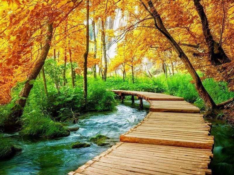 Wooden trail in Plitvice national park