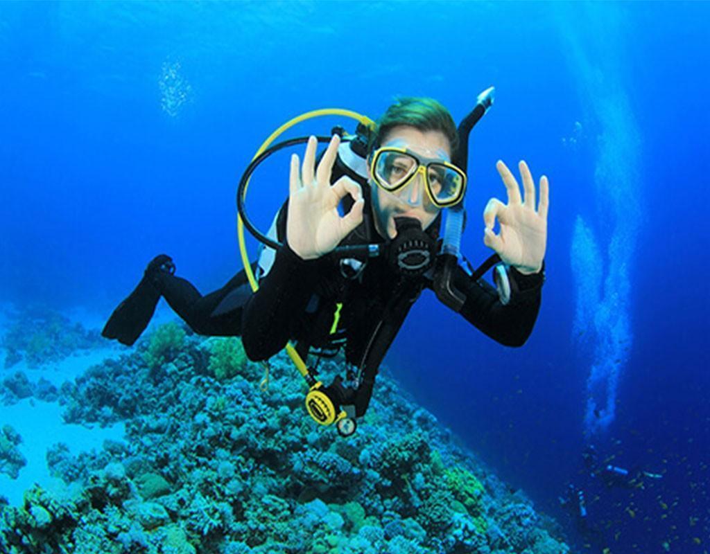 Scuba Diving Explore the Adriatic